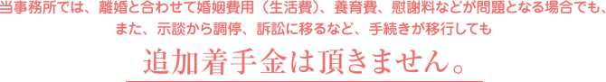 離婚と合わせて婚姻費用（生活費）、養育費、慰謝料などが問題となる場合でも、また、示談から調停、訴訟に移るなど、手続きが移行しても追加着手金は頂きません。