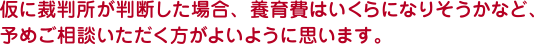 仮に裁判所が判断した場合、養育費はいくらになりそうかなど、予めご相談いただく方がよいように思います。