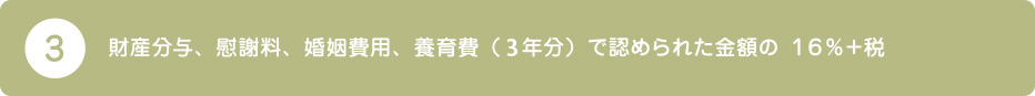 3.財産分与、慰謝料、婚姻費用、養育費（２年分）で認められた金額の １６％＋税